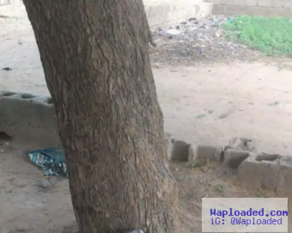 Photos of one of the suicide bombers killed in Borno state by vigilantes